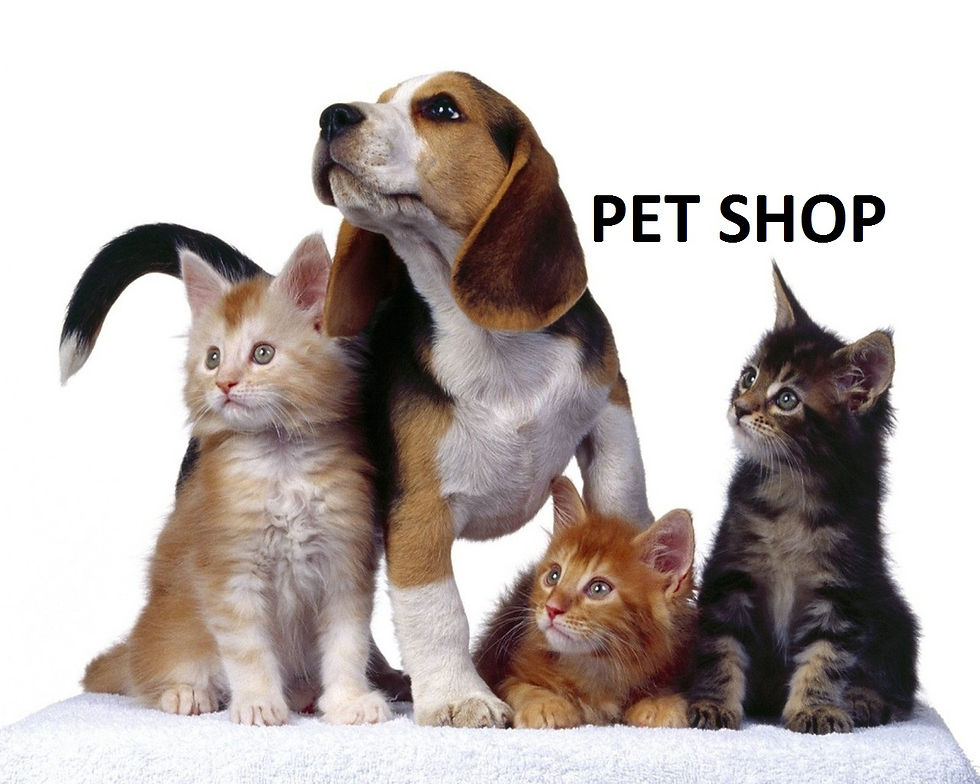 pet.jpg