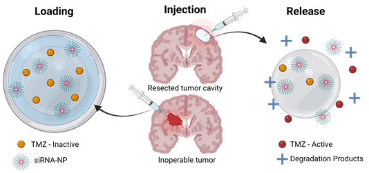 Copy of Hydrogel Drug Delivery Graphical Abstract horizontal (1).png