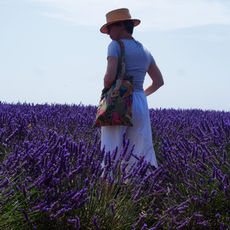 Les champs de Lavande du Plateau de Valensole