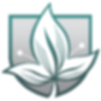 IMA Logo Blue-Grey.jpeg
