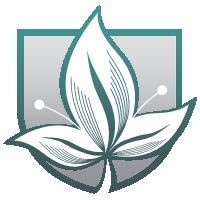 IMA Logo Blue-Grey.jpeg