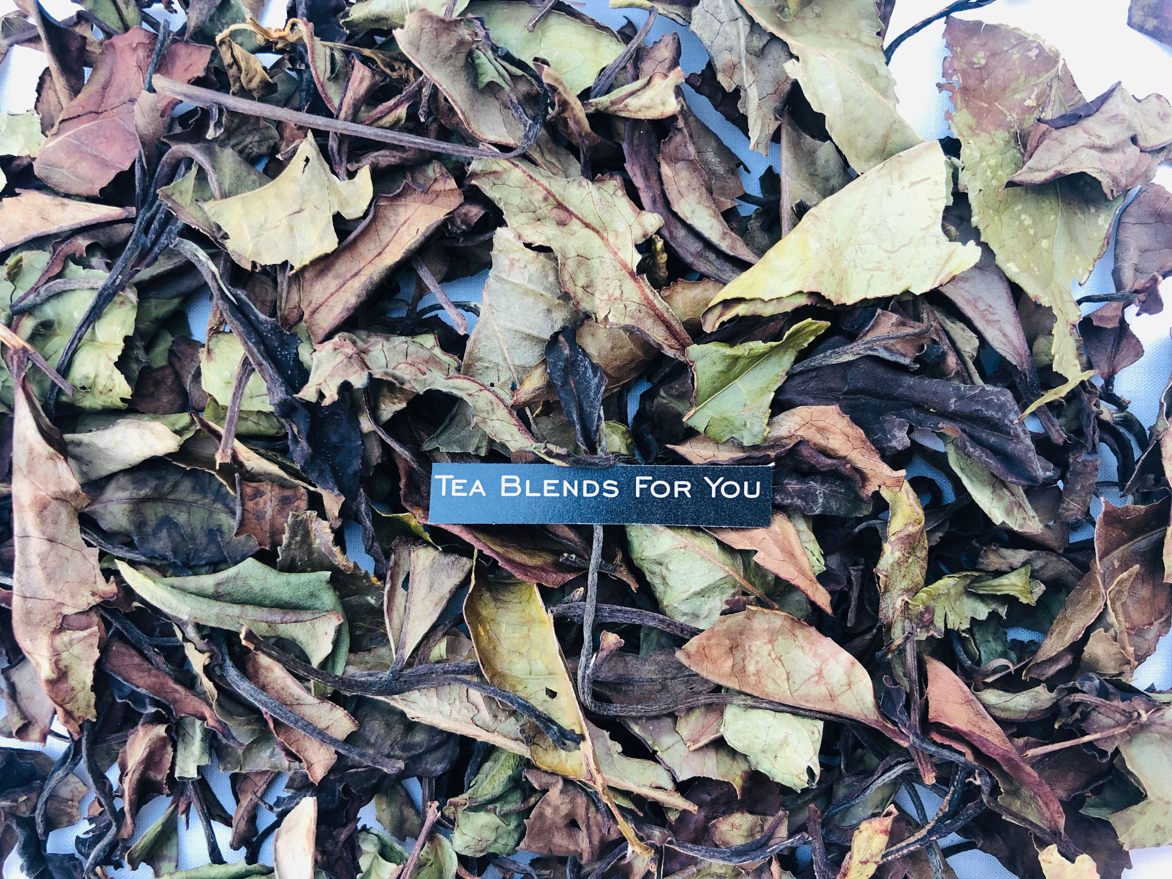 Té Blanco Orgánico ARGENTINO PREMIUM