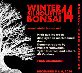 Winter Silhouette Bonsai Show | Bonsai | 150 North Research Campus Drive,  Kannapolis, NC, USA