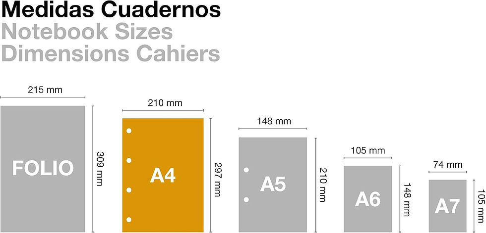 Miniatura: Esmeralda A4 Rayas