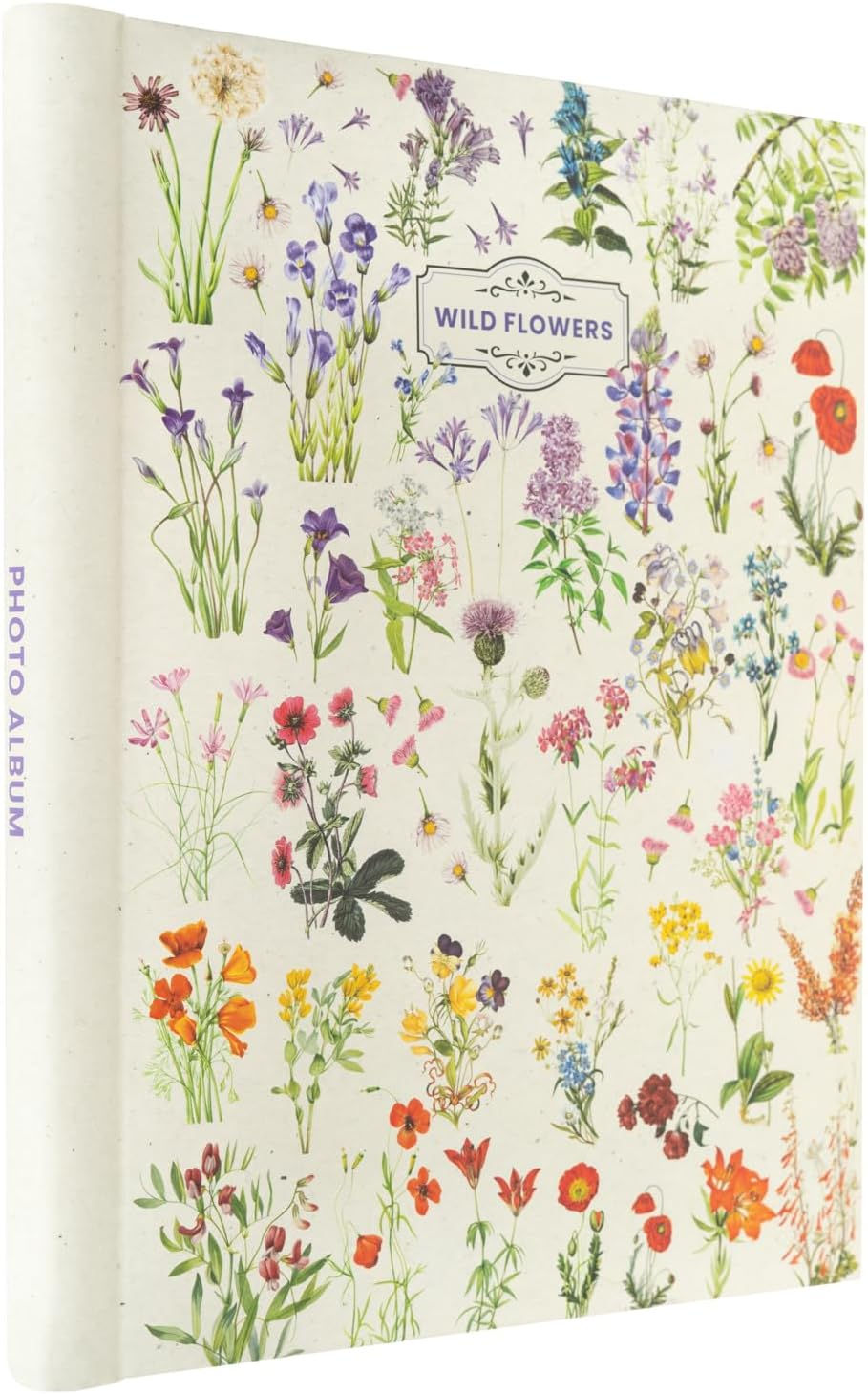 Album Fotos Wild Flowers