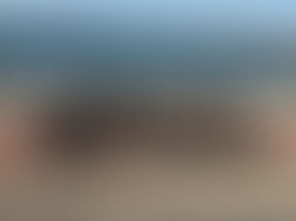 11月14日 猿島で課外活動をしました。