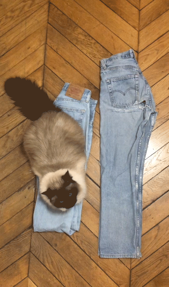 Tapioca-Jean.gif