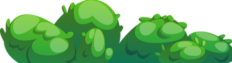 Grass