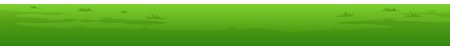 Grass