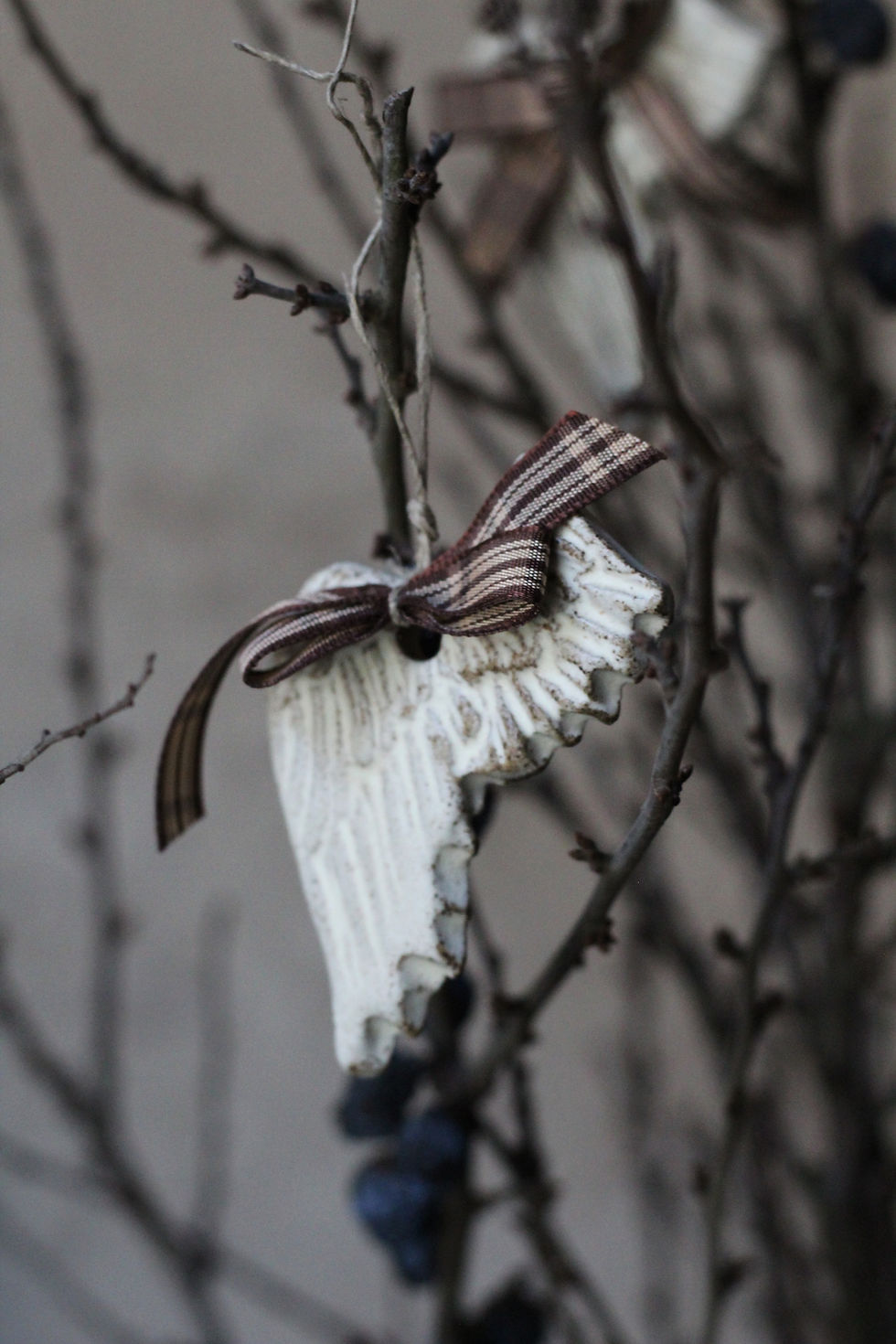 Miniatura: skrzydełko anielskie