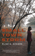 Small Town Storm Book Cover (4).png