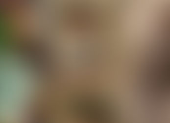 Mulheres Gamers influenciam olhar sobre personagens femininas: sexualização entra em pauta