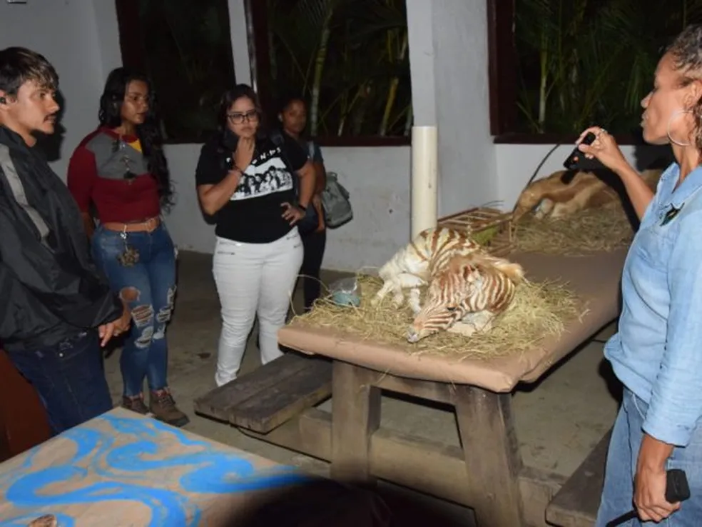 Zoológico de Salvador