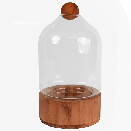 Vintage Glass Terrarium With Deep Natural Wood Base