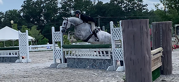 emmy jump.PNG