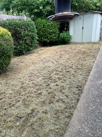 image6.jpeg