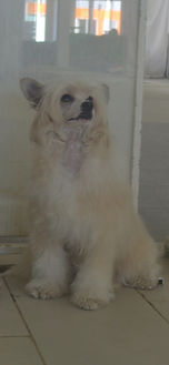 3a3bb7a4-2522-4659-8730-115efd7956c0.jpe