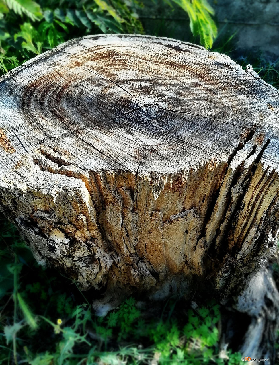Agricoltura Natura e (41)
