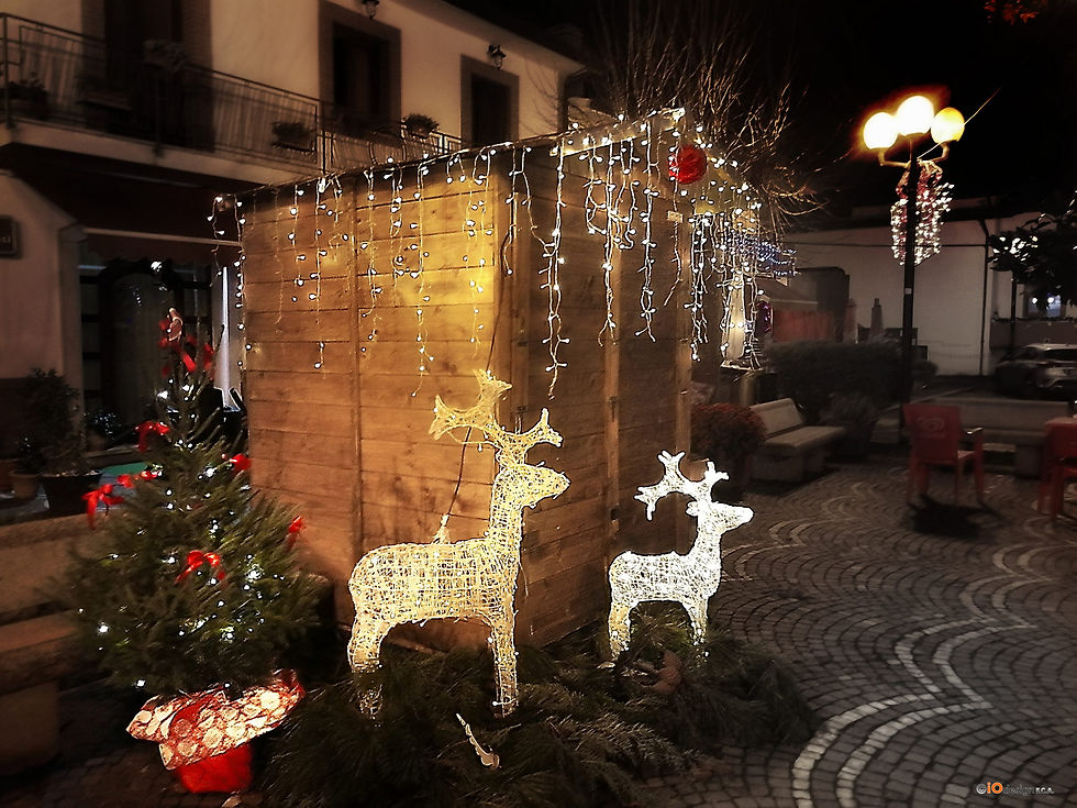 Christmas signs in Apice 15
