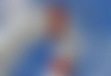 Já imaginou um dia sem seguro?