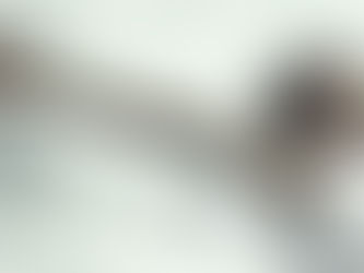 Qual a melhor época do ano para se contratar um plano de saúde?