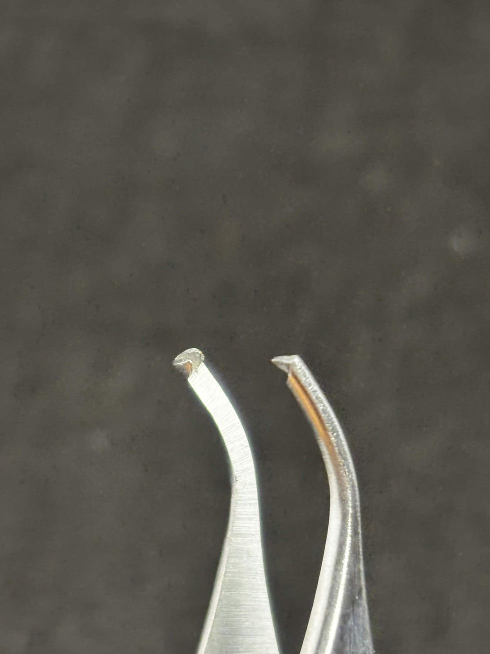 Thumbnail: Adson Curved Toothed Forceps