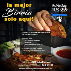 Birria de Res