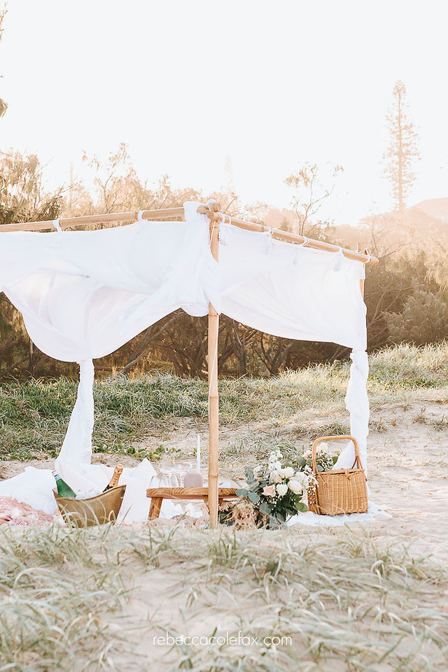 Proposal Picnic in Pink