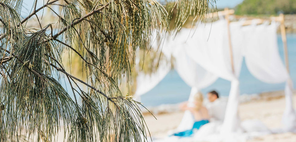 Noosa Photography Co