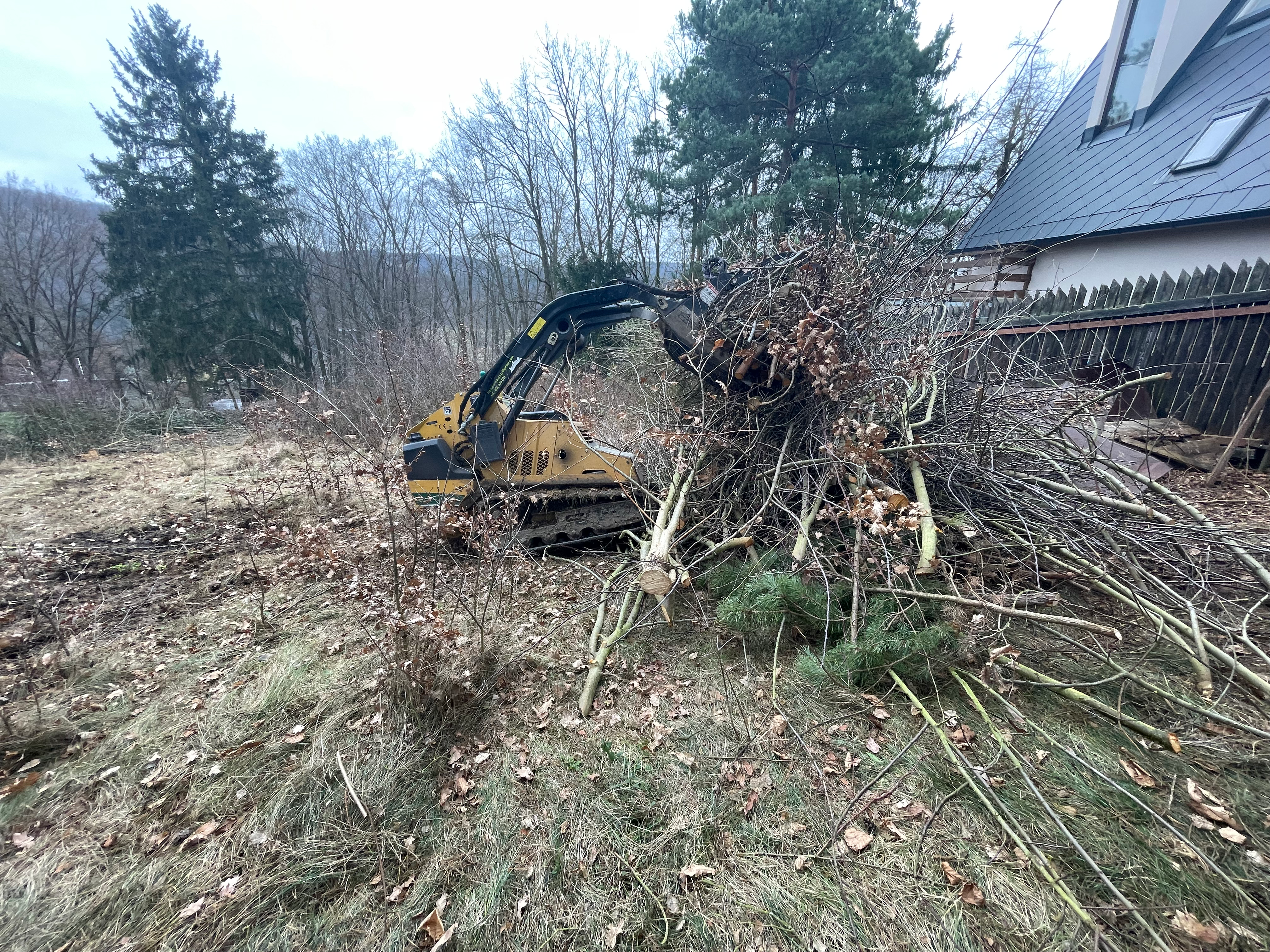 Vyčištění pozemku od náletů a šípků
