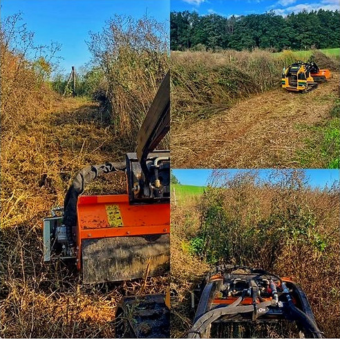 MULCHER A MINI NAKLADAČ VERMEER - FREZUJEMEPAREZY.CZ