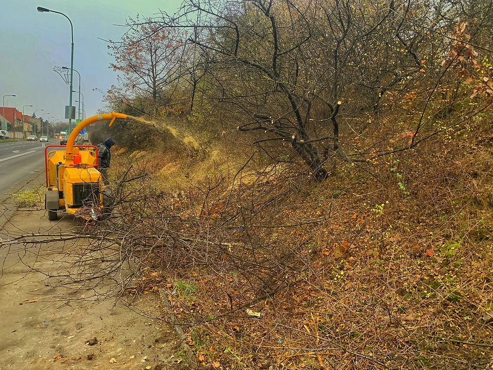 Štěpkování křovin nad plynovodem - frezujemeparezy.cz