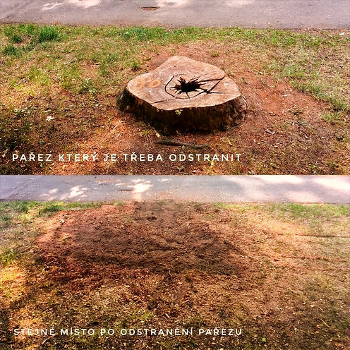 JAK ODSTRANIT PAŘEZ - FREZUJEMEPAREZY.CZ