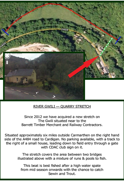 River Gwili - Quarry Stretch_edited.png