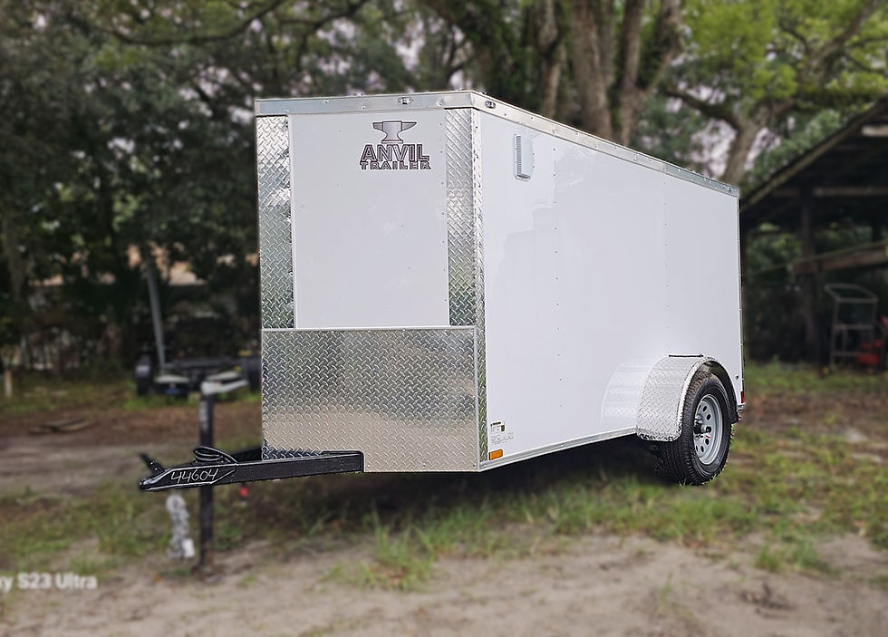 5' x 10' Anvil Enclosed Trailer for Sale Packard Trailers Orlando Fla