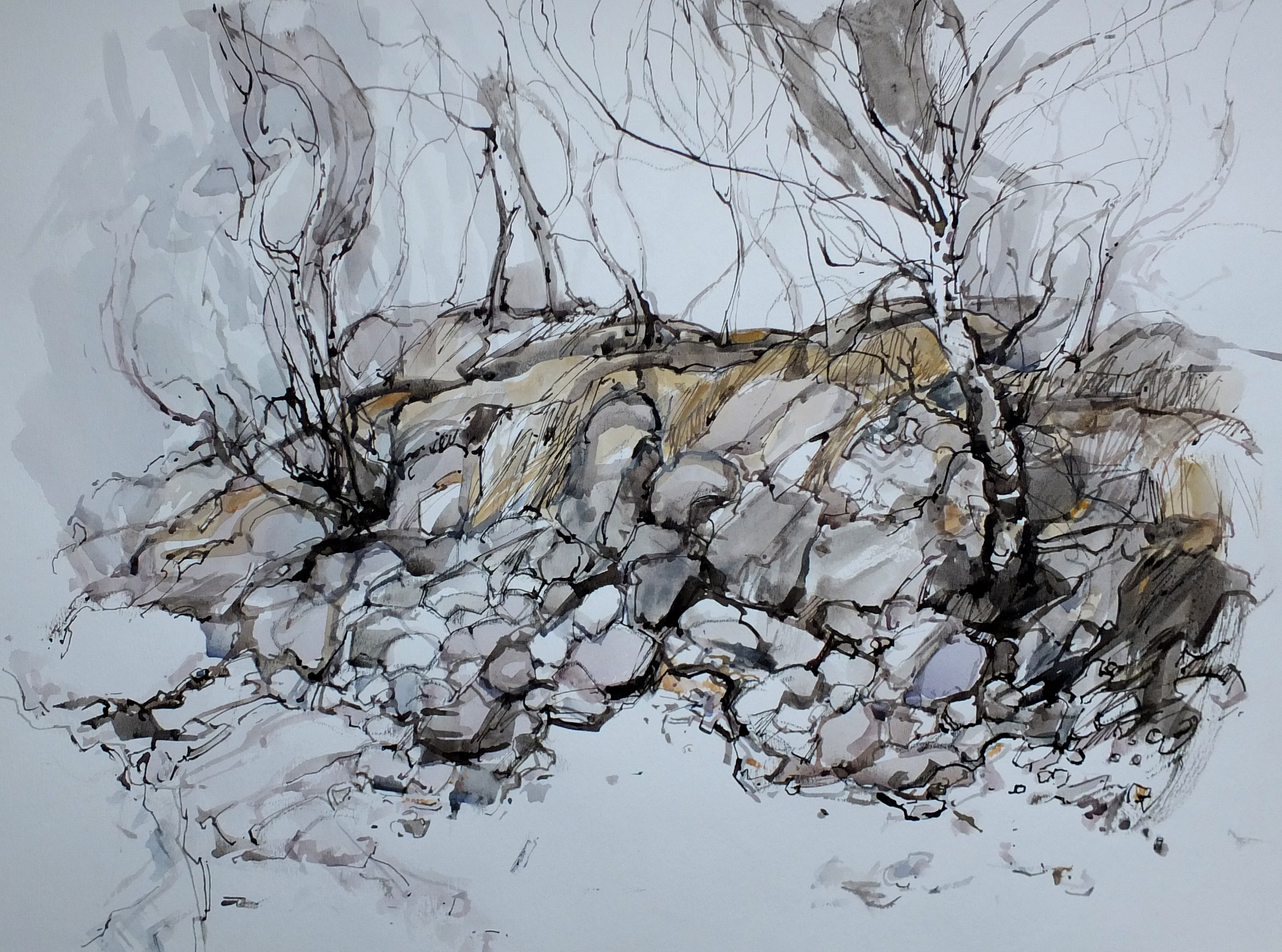 Birches