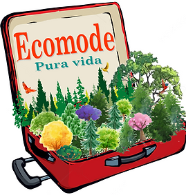 Capture d’écran (33).png