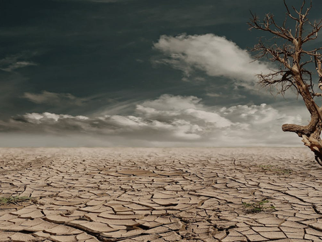 Eco-ansiedad: cómo afecta el cambio climático a la salud mental