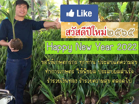 สวัสดีปีใหม่ ๒๕๖๕