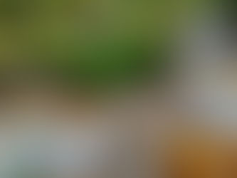 รอบจัดส่ง 04 มิย 2564ขอบคุณเกษตรกรผู้สนใจปลูกมะพร้าวน้ำหอม ทั้ง 122 ท่านค่