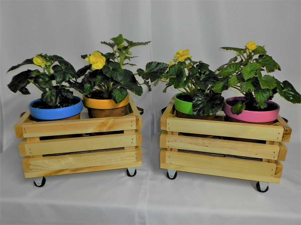 Thumbnail: CRATE PLANTER