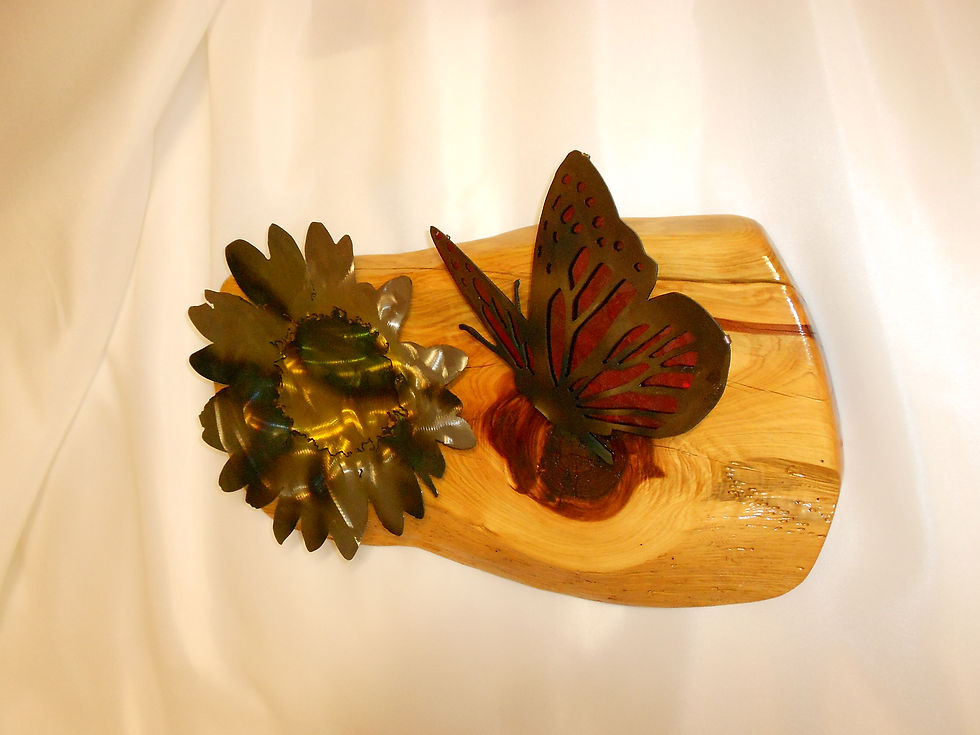 Thumbnail: DAISY AND BUTTERFLY
