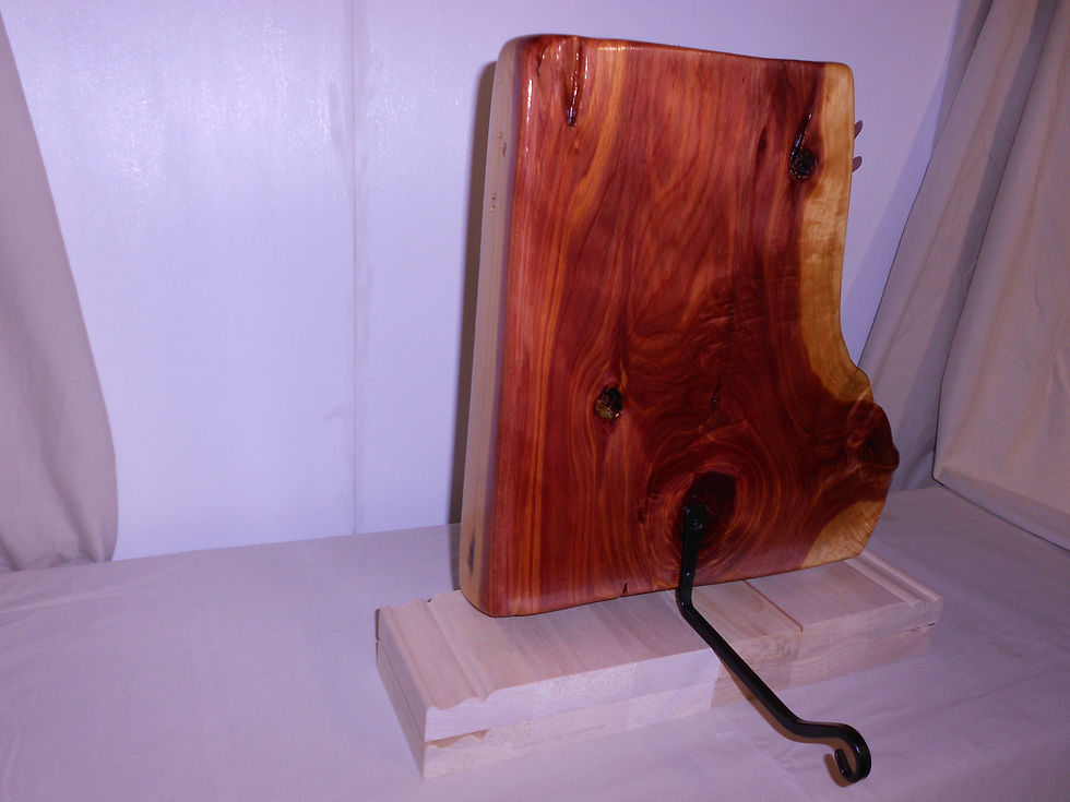 Thumbnail: Tree Frogs on Cedar Stump