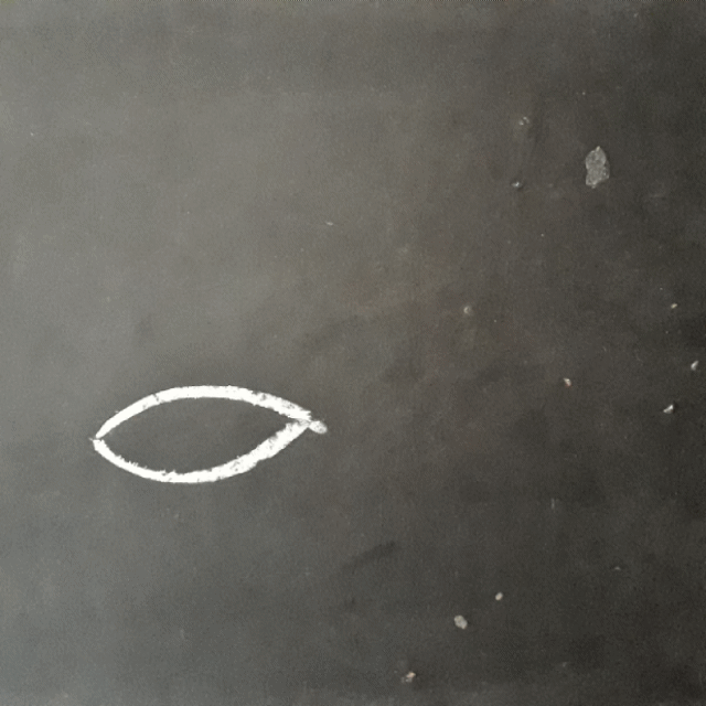 Understanding the spiritual meaning and message of lotus flower