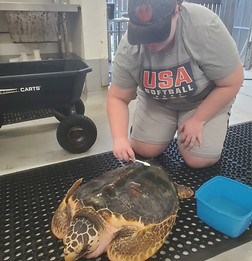 supplemental photo 3.jpg