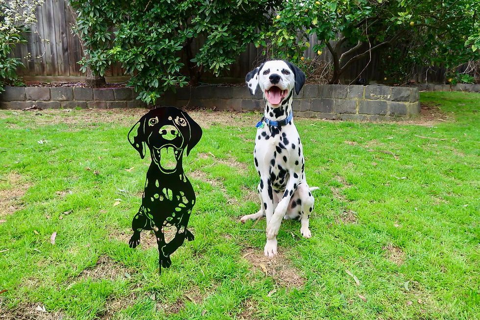 Dalmatian dog memorial for garden