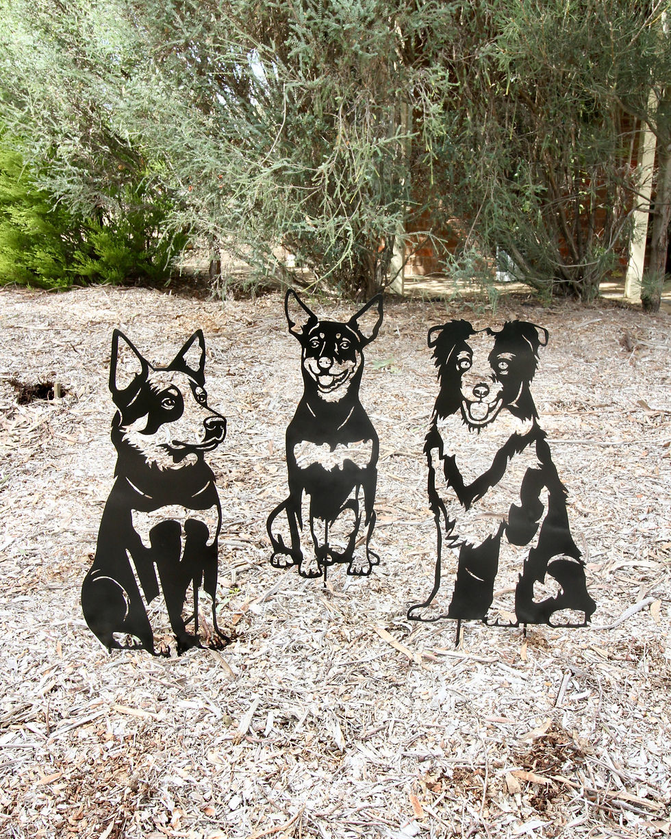 Thumbnail: Border Collie