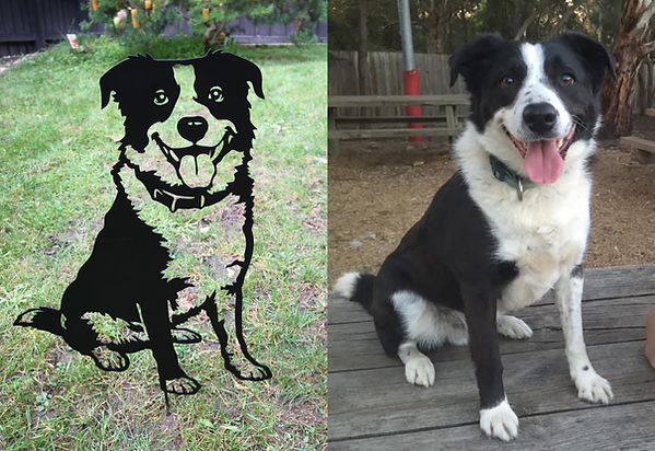 Cooper - Comparison.png