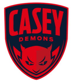 Casey Demons logo.png