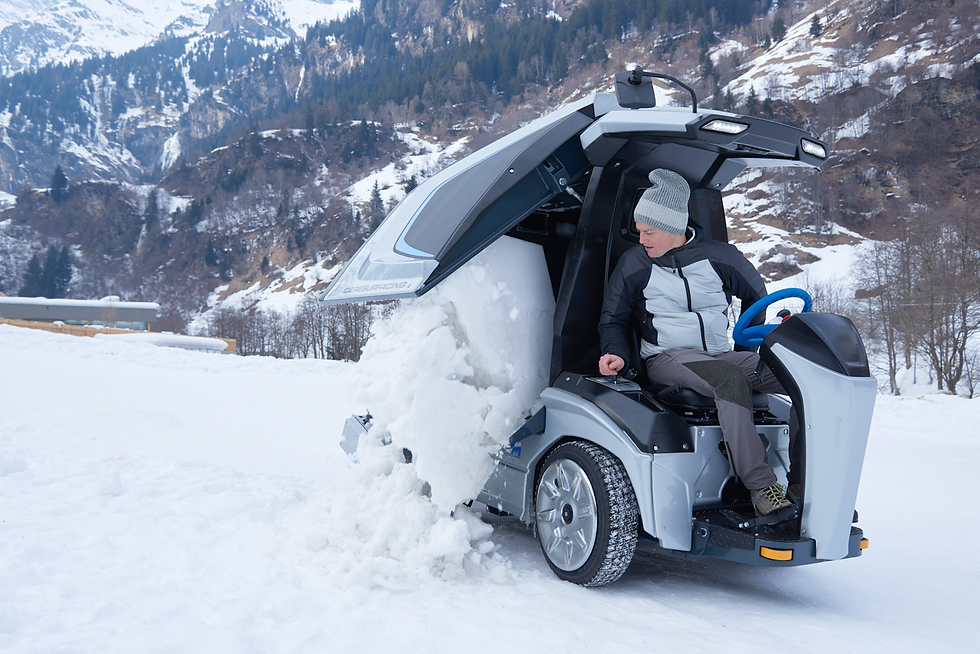 Mammoth Ritten 015 Kopie_edited.jpg